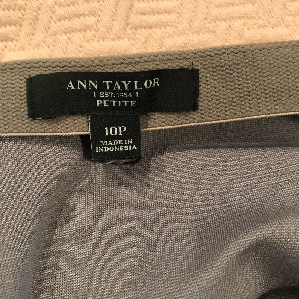 Ann Taylor Skirt
